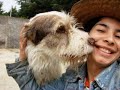 PRESENCIAANIMAL / ADOPCIONES