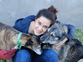 PRESENCIAANIMAL / ADOPCIONES