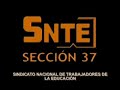 1ra entrevista nuevo secretario general seccion 37 snte