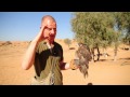 Hawk and trainer