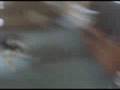videos de Meeka Going Crazy!!