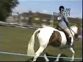 master redinski plumpton 1