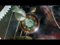 Marc Forster: Quantum Of Solace - Real Director's Cut