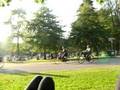 videos de Vondel Park Amsterdam