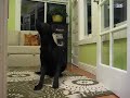 MVI_1424.AVI MVI_1424.AVI
