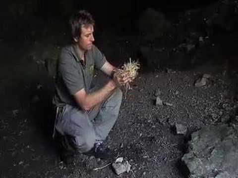 AZ of Bushcraft (F is for Fire by Flint)