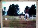 Miki and Skyblue riding bridleless through Barrel pattern - Hawaii Miki and Skyblue riding bridleless through Barrel pattern - Hawaii