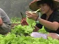 這是社團法人台灣風信子精神障礙者權益促進協會的第一支廣告CF，這支CF有機會在台北市各大商場的電視牆播放。這支CF是由協會自己拍攝的，我們在最少經費的情況下，完成了這支國內精障協會第一支自行拍攝的廣告CF。