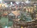 videos de cariba creek