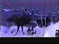 rudolph