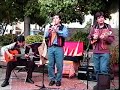 Charango zampo�a Quena Raymy \