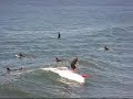 Surfing Seal Beach, Ca 05/19/08