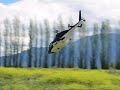 Lobo del Aire Cach 2006