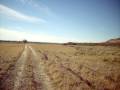 RALLY FIAT UNO RALLY FIAT UNO
