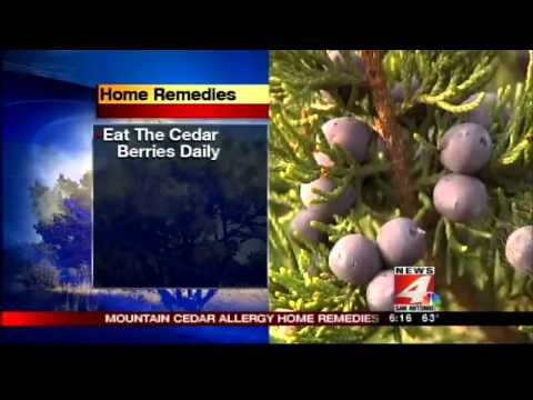 how to relieve cedar allergies