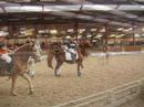 Horseball team Brembos