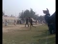 Kho-Kho Senior