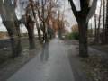 videos de /Moad`dib/ - Sister amnesia (end of the road)