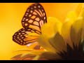 Inolvidable - Luis Miguel (Karaoke)