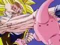 DBZ Sentenced Neverlasting