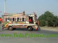 Driving Shahid Afridi