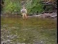 Fly Fishing Lessons - Part 9