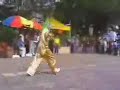 dragon wudan