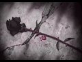 Ji BiR NaKiM - [fero]