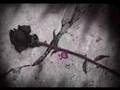 Ji BiR NaKiM - [fero]