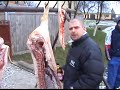 Zupanja 2007, Brana,Debak,Fido,Cika Drago