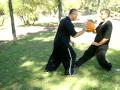 XingYi - Ball   - 形意球 (武家) & applications
