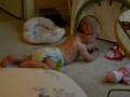 Joseph inchworm crawling