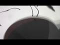 Crazy Ant Trap