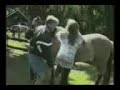 Funny Rodeo Accidents Funny Rodeo Accidents