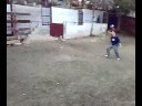 CAPEA ALBORAIA SE CASAÑAVID