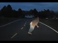 Carretera Cerro Punta Volcan