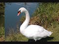 trip an long the canal