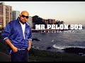 Mr. Pelon 503 - La Kiebra Nuka (La primera tiraera cumbia)
