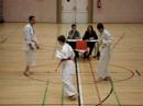karate free kumite karate free kumite