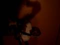 steve-o sing-a-long