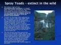 34 vertebrates to reptiles