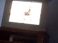 Loz:tp,Loz:ww,Nintendo