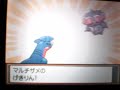 ポケットモンスター ハートゴールド バトルステージVSケイト