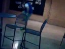 Daniel and the Balloon
