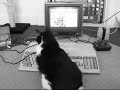 AMIGA 500 - GODZ - - http://www.youtube.com/watch?v=pcxrg0uAGQo