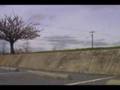 videos de EmergeNC 