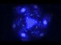 Zero Altitude (Paolo Ground Level Remix) - Rare? P?durariu.wmv Zero Altitude (Paolo Ground Level Remix) - Rare? P?durariu.wmv