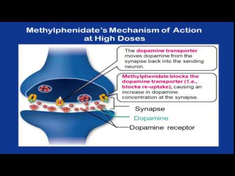 how to train executive function