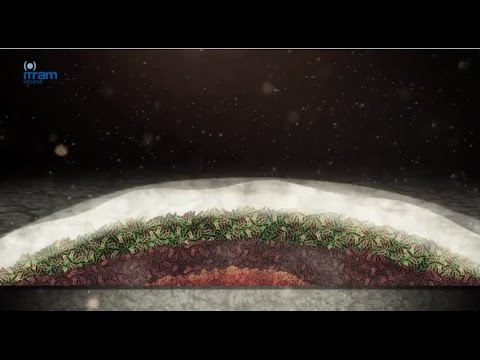 how to eliminate biofilm