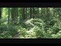 The blair witch project film locations